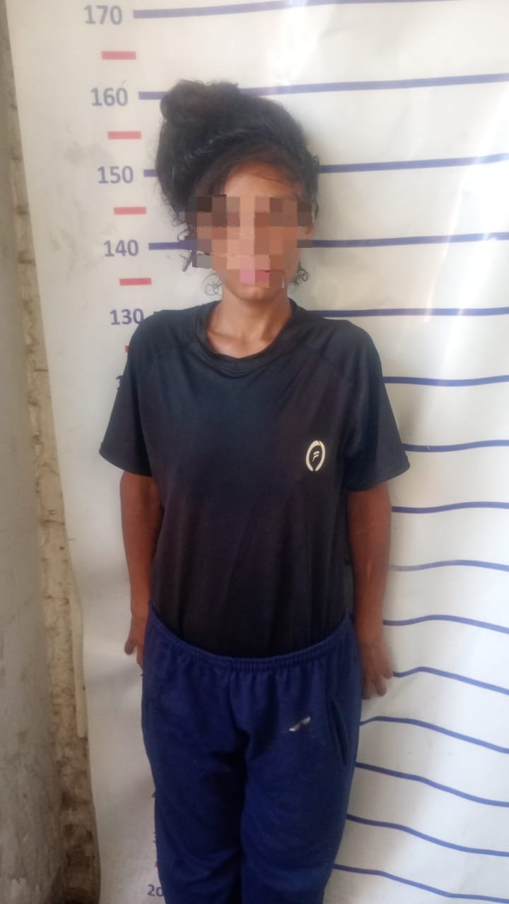 Mujer detenida por robar un celular en el Parque de Chimbas