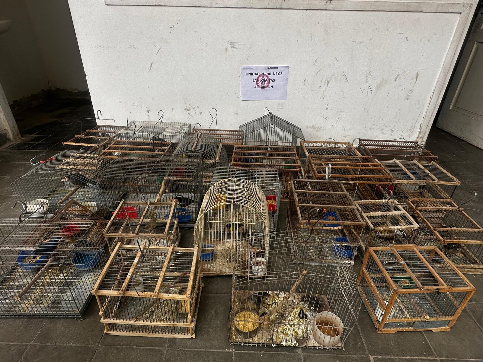 110 aves rescatadas y tres detenidos en Albardón y Caucete