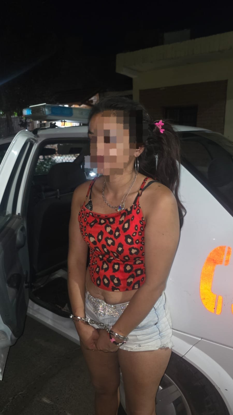 Mujer detenida por robo, amenazas y lesiones en Capital