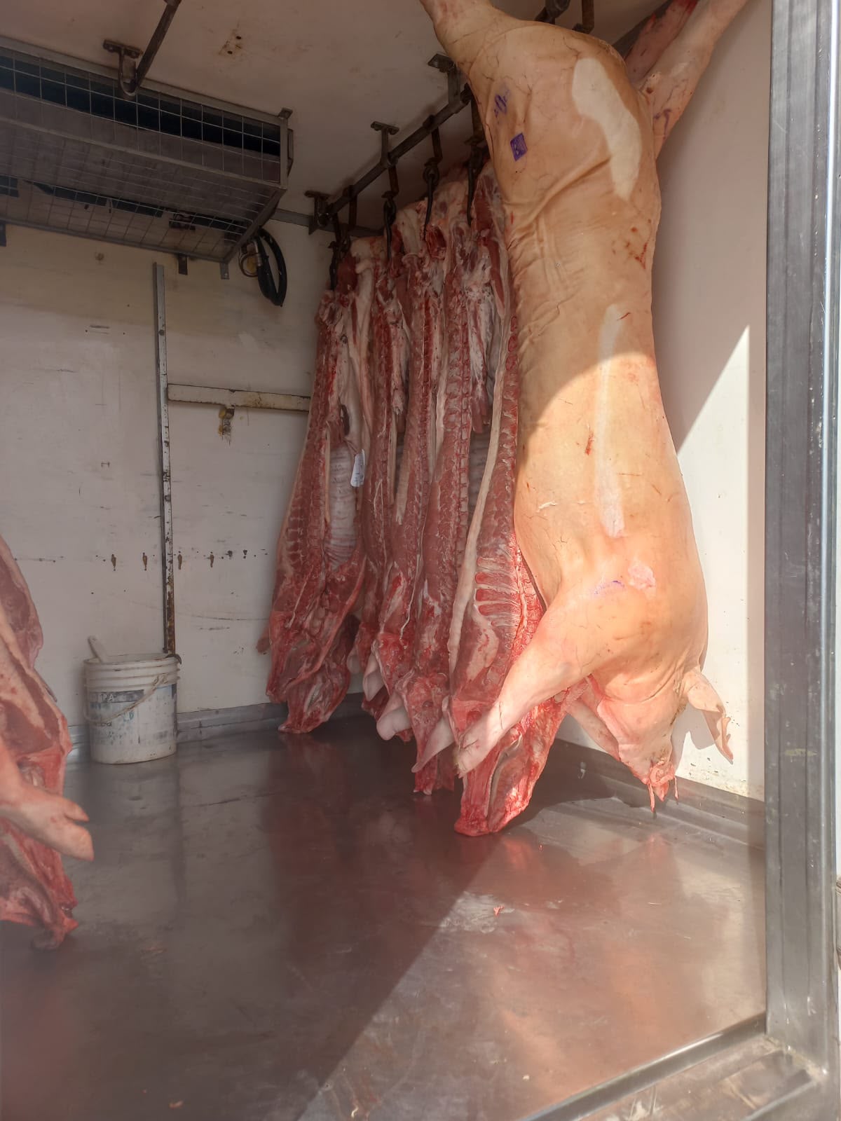 En un operativo decomisaron carne no apta para consumo