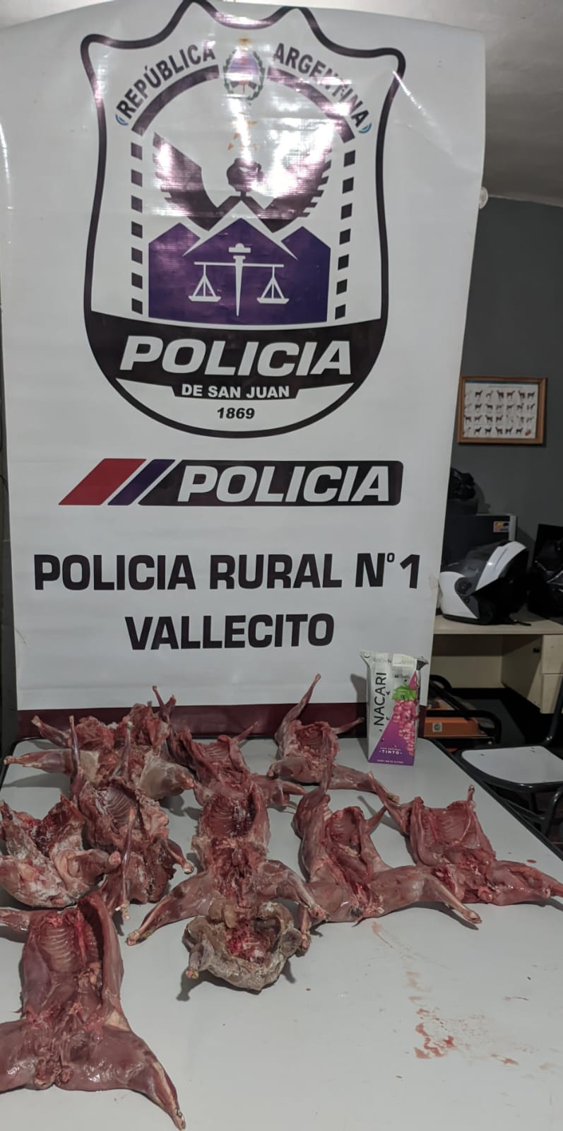 Difunda Correa: interceptan a cazadores mendocinos con liebres, vizcachas y un ave protegida
