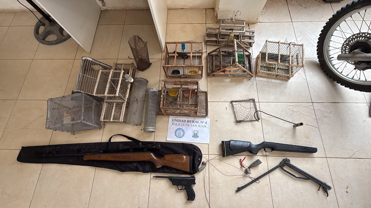 Secuestraron pieles de puma y zorro, aves autóctonas y armas en allanamientos por caza furtiva